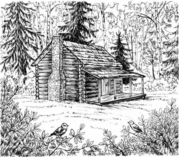 Иллюстрация к книге — Скауты в лесах [i_001.jpg]