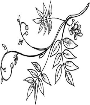 Иллюстрация к книге — Скауты в лесах [i_017.jpg]