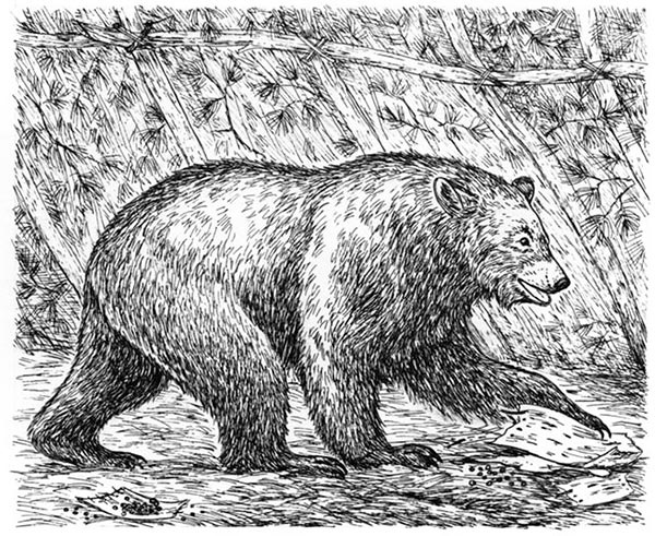 Иллюстрация к книге — Скауты в лесах [i_029.jpg]