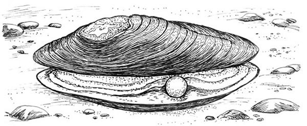 Иллюстрация к книге — Скауты в лесах [i_032.jpg]