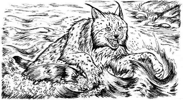 Иллюстрация к книге — Скауты в лесах [i_033.jpg]