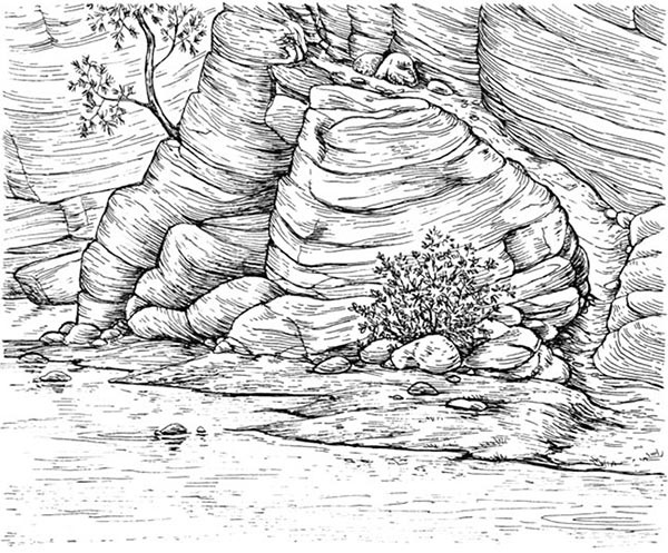 Иллюстрация к книге — Скауты в лесах [i_035.jpg]