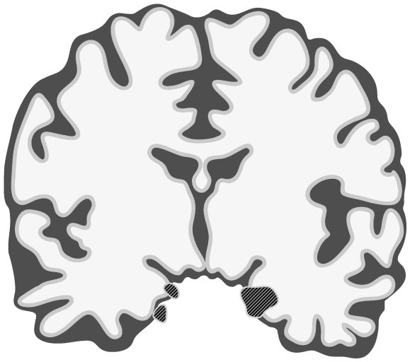 Иллюстрация к книге — Здоровый сон. 21 шаг на пути к хорошему самочувствию [i_007.jpg]