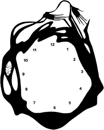 Иллюстрация к книге — Мой друг, покойник [i_005.jpg]