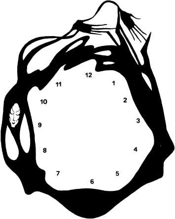 Иллюстрация к книге — Мой друг, покойник [i_019.jpg]