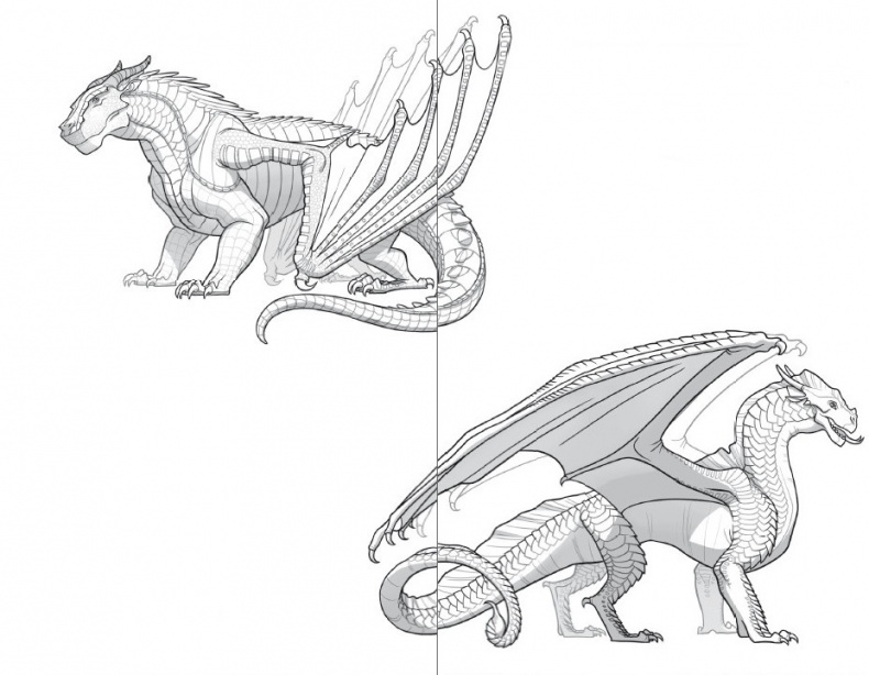 Иллюстрация к книге — Драконья сага. Преодоление Беды [i_004.jpg]