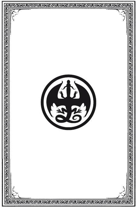 Иллюстрация к книге — Драконья сага. Преодоление Беды [i_008.jpg]