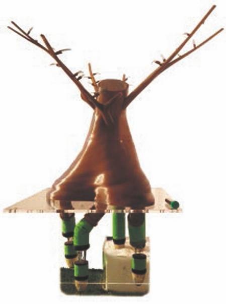 Иллюстрация к книге — Революция растений [i_017.jpg]