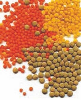 Иллюстрация к книге — Революция растений [i_033.jpg]