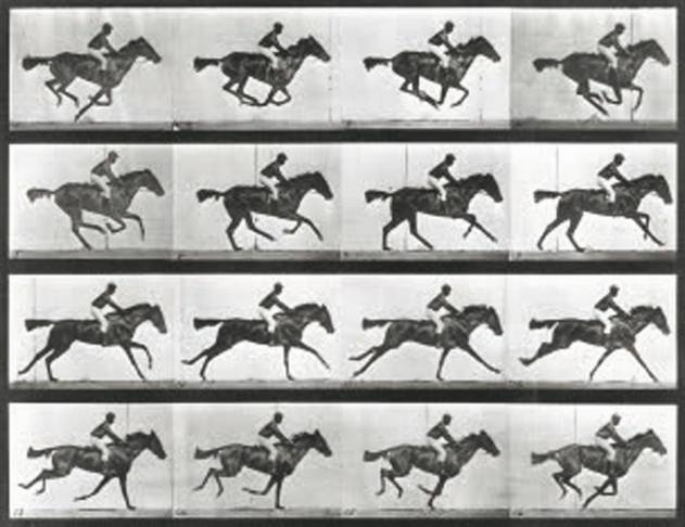 Иллюстрация к книге — Революция растений [i_038.jpg]