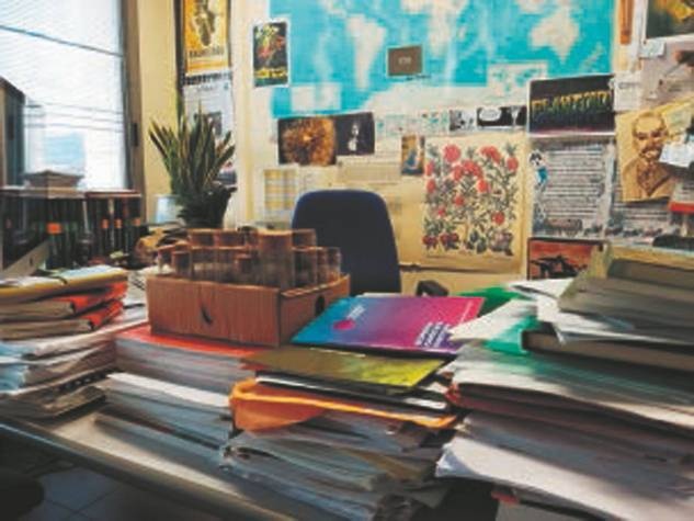 Иллюстрация к книге — Революция растений [i_067.jpg]