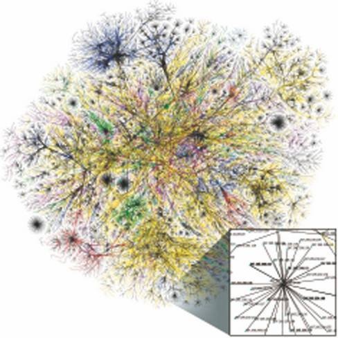 Иллюстрация к книге — Революция растений [i_068.jpg]