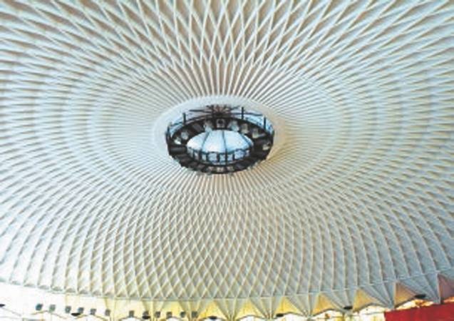 Иллюстрация к книге — Революция растений [i_079.jpg]