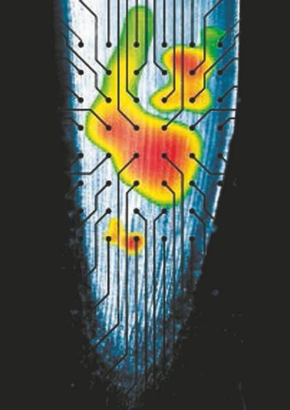 Иллюстрация к книге — Революция растений [i_090.jpg]