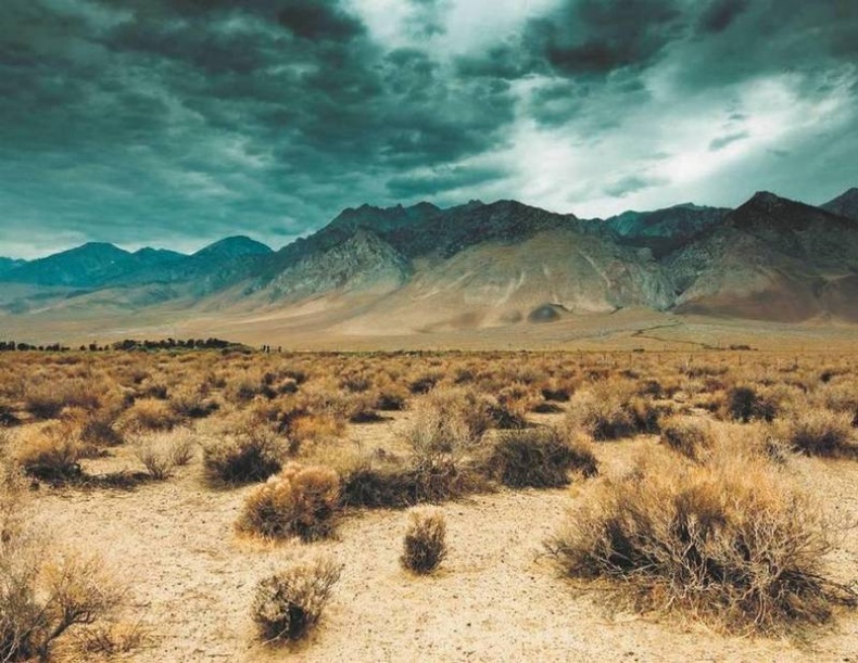 Иллюстрация к книге — Революция растений [i_092.jpg]