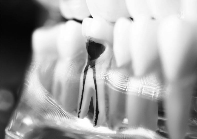 Иллюстрация к книге — Злые зубы [i_018.jpg]