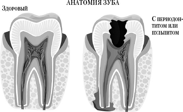Иллюстрация к книге — Злые зубы [i_019.jpg]