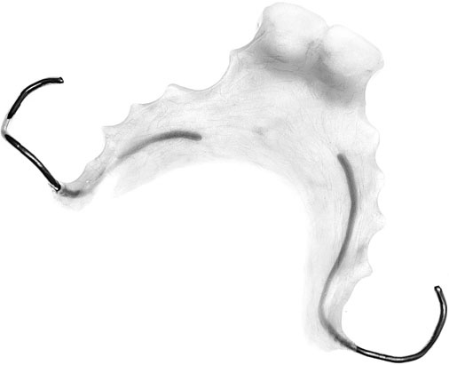 Иллюстрация к книге — Злые зубы [i_026.jpg]