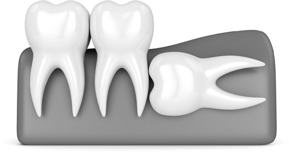 Иллюстрация к книге — Злые зубы [i_032.jpg]