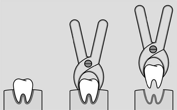 Иллюстрация к книге — Злые зубы [i_036.jpg]