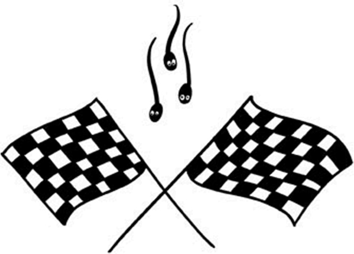 Иллюстрация к книге — 280 дней до вашего рождения. Репортаж о том, что вы забыли, находясь в эпицентре событий [i_002.jpg]