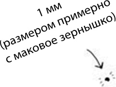 Иллюстрация к книге — 280 дней до вашего рождения. Репортаж о том, что вы забыли, находясь в эпицентре событий [i_014.jpg]