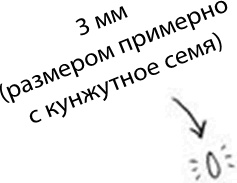 Иллюстрация к книге — 280 дней до вашего рождения. Репортаж о том, что вы забыли, находясь в эпицентре событий [i_018.jpg]
