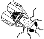 Иллюстрация к книге — 280 дней до вашего рождения. Репортаж о том, что вы забыли, находясь в эпицентре событий [i_019.jpg]