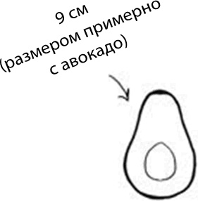 Иллюстрация к книге — 280 дней до вашего рождения. Репортаж о том, что вы забыли, находясь в эпицентре событий [i_030.jpg]
