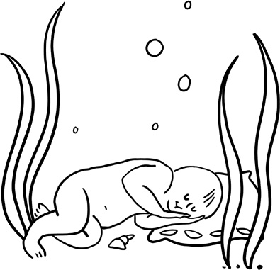 Иллюстрация к книге — 280 дней до вашего рождения. Репортаж о том, что вы забыли, находясь в эпицентре событий [i_038.jpg]