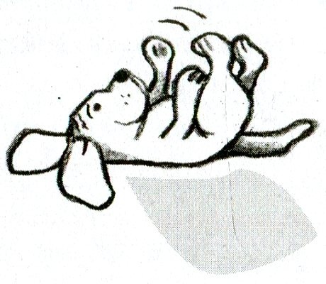 Иллюстрация к книге — Я всего лишь кошка [i_003.jpg]