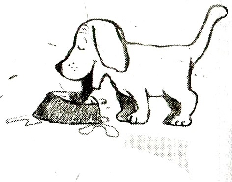 Иллюстрация к книге — Я всего лишь кошка [i_007.jpg]