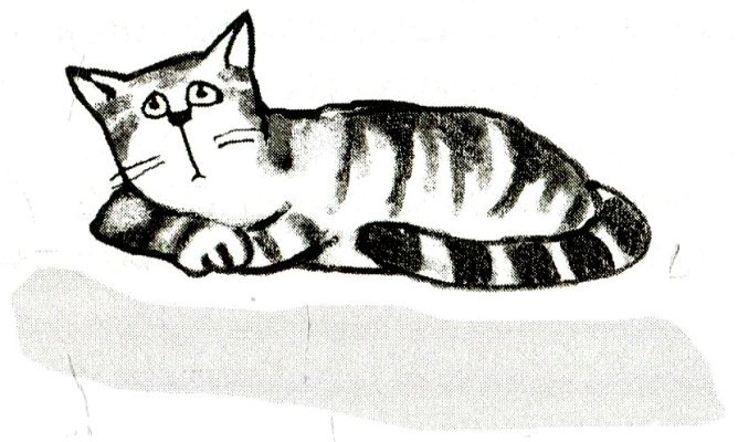 Иллюстрация к книге — Я всего лишь кошка [i_009.jpg]