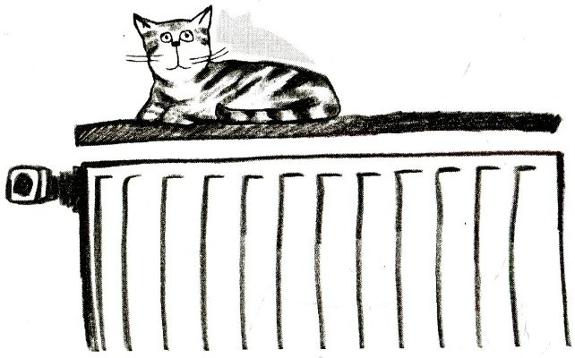 Иллюстрация к книге — Я всего лишь кошка [i_020.jpg]