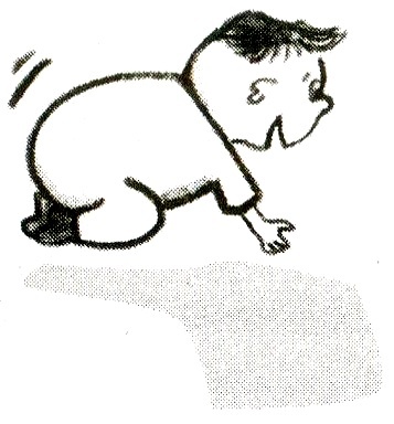 Иллюстрация к книге — Я всего лишь кошка [i_025.jpg]