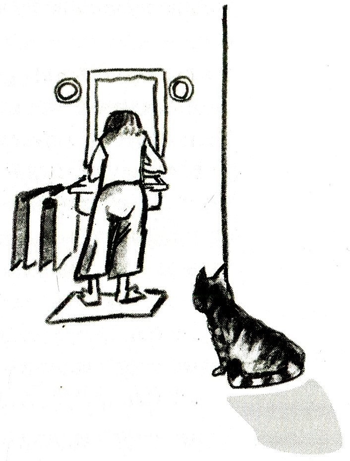 Иллюстрация к книге — Я всего лишь кошка [i_028.jpg]