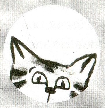 Иллюстрация к книге — Я всего лишь кошка [i_031.jpg]