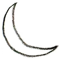 Иллюстрация к книге — Я всего лишь кошка [i_033.jpg]