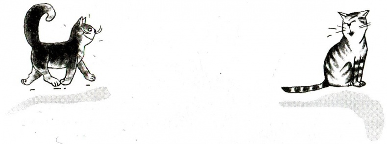 Иллюстрация к книге — Я всего лишь кошка [i_035.jpg]