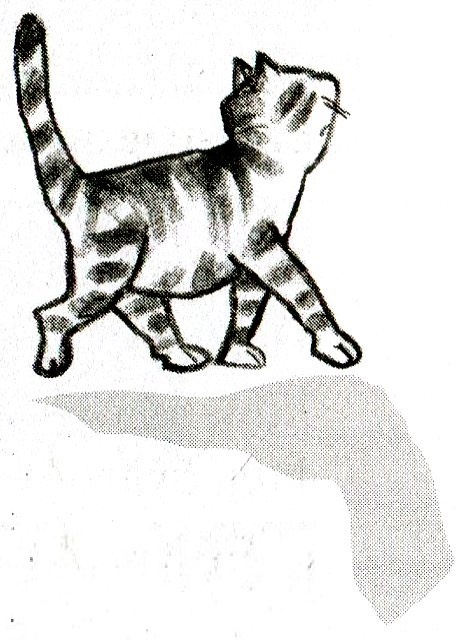 Иллюстрация к книге — Я всего лишь кошка [i_042.jpg]