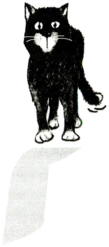 Иллюстрация к книге — Я всего лишь кошка [i_044.jpg]