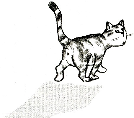 Иллюстрация к книге — Я всего лишь кошка [i_064.jpg]