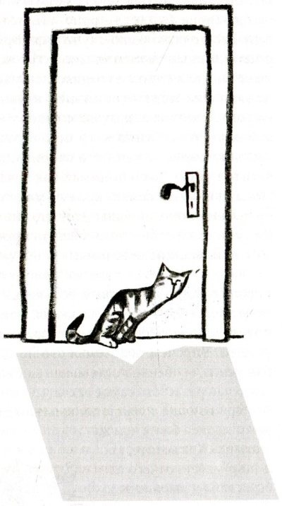 Иллюстрация к книге — Я всего лишь кошка [i_066.jpg]