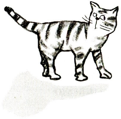 Иллюстрация к книге — Я всего лишь кошка [i_069.jpg]