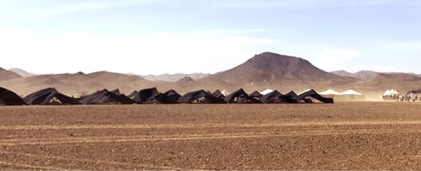 Иллюстрация к книге — Беги и помни [image16_5c76702deb12390600288109_jpg.jpg]