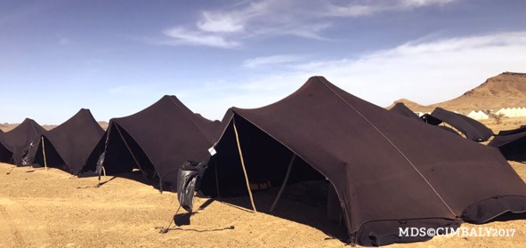 Иллюстрация к книге — Беги и помни [image17_5c767051eb12390600288116_jpg.jpg]