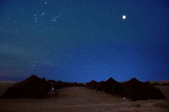 Иллюстрация к книге — Беги и помни [image62_5c767acee5dcb006000097ad_jpg.jpg]