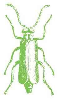 Иллюстрация к книге — История шарлатанства [i_106.jpg]