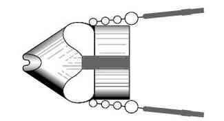 Иллюстрация к книге — История шарлатанства [i_139.jpg]
