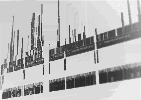 Иллюстрация к книге — Пекло [i_021.jpg]